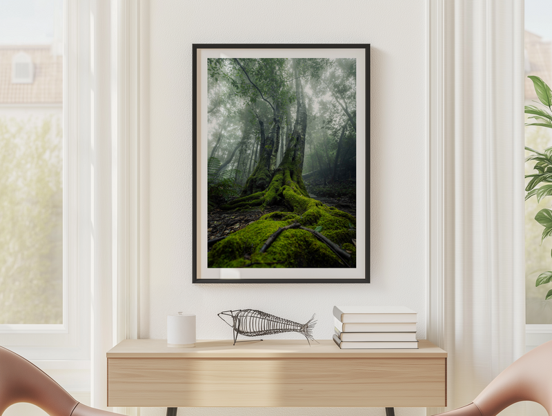 Nature Photography Artwork Collection